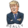 Mr. Trump (cbznr5yj49)