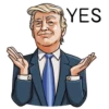Mr. Trump (zcr42q3sjm)