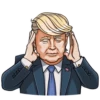 Mr. Trump (vbwh6479sg)