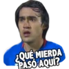 Pambolero Puma (7tx34bjgcd)