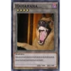 Reply Cards Pack (5fd24g7b98)