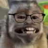 Monitos Random! 🐒 (hrqfcmvn85)
