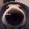 ahhhhh (3tqr67kvb5)
