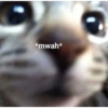 ahhhhh (zkp3hw9vgq)