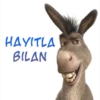 Ciuchino (in Shrek) (fjtwqgm8nx)