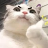 إبهام للأعلى