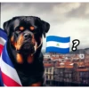 Rottweiler | CR Shitposting+ | by: Randall Hammer (96dk2zvy57)