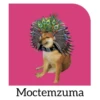 Estaciones del metro Cheems (cdmg4wtsn5)