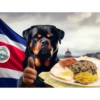 Rottweiler | CR Shitposting+ | by: Randall Hammer (sbkqjxyfzr)