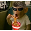 🐒⌛Various Monkey's⌛🐒 (vhm8j3ynq7)