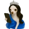 Princesa Chihuahua 👑💙 (49hsfnx7kr)