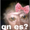 🐒⌛Various Monkey's⌛🐒 (xkb54m38dv)