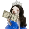 Princesa Chihuahua 👑💙 (btr7f3mncj)