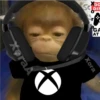 🐒⌛Various Monkey's⌛🐒 (wgykrzcsj6)
