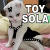 🔥𑄝GATOS HORNY/HORNY CATS𑄝🔥 (nhj32m4qrf)