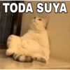 🔥𑄝GATOS HORNY/HORNY CATS𑄝🔥 (w927svrmc3)