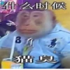 Monke (s2p8kc5yqd)