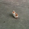 قطط؟؟ قطط!! قطط <33 (3zkg9p7jm6)