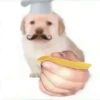 ¿puppy? (by @typiestikeriegorika) (p7gh4j3my6)