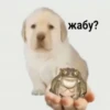 ¿puppy? (by @typiestikeriegorika) (ywzc2pxb5h)