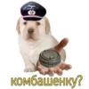 ¿puppy? (by @typiestikeriegorika) (93kgr5j4zb)