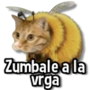 ♨️Memes Variaditos🍒 (q5wgb2th6v)