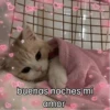 تصبح على خير يا حبيبي