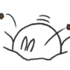 Tomung the snowball rabbit! (z3jwfknrd9)