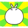 Tomung the snowball rabbit! (dvn6g2cmfh)