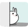 Tomung the snowball rabbit! (nr5zhpft9v)