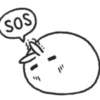 Tomung the snowball rabbit! (4k857wj93z)