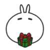 Tomung the snowball rabbit! (qc4h3ds8v9)