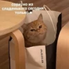 Любовная любовь (ydst5czq8w)