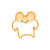 الهامستر العضلي (rwgnvq9zmk)