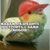 Любовная любовь (46jbmdx5pv)