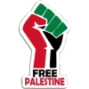 FreePalestine🇵🇸👉 (wcv7th35p4)