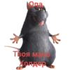 CC/PP/Sosal (hjdfwpmc6k)