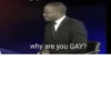 Y R U GAY? (By ) (fgktn3ywdz)