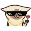 ردود فعل القط السيامي (wq9bckj8mz)