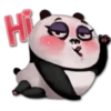 PANDA SEXY (fd8s2hrm9n)