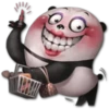 PANDA SEXY (kjmr5xb8hn)