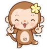 Sweet Monkey(Yessy) (yvs43fn78t)