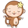 Sweet Monkey(Yessy) (6vnf5tr279)