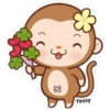 Sweet Monkey(Yessy) (m2t5bqr6jc)