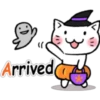 القط في عيد الهالوين (7y4gqxw685)