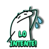 °˖𓍢ִ໋🍃FLORK•⁠‿⁠•GREEN✿°.💚⋆ (k978z25dyj)