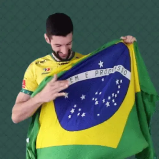 GO BRAZIL 🇧🇷 (yd4nfwkgh7)