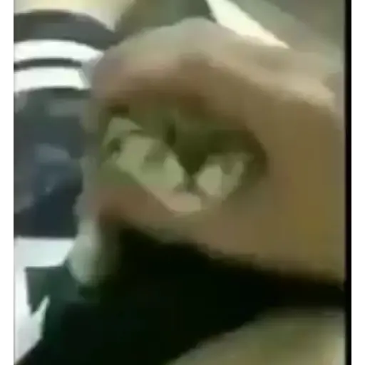 Cat with a heart-shaped mouth (c94hfntvzw)