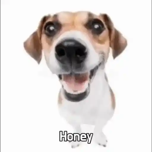 🎶🔝Lo Mejor De TikTok🔝🎶 (3b9h72xgwc)