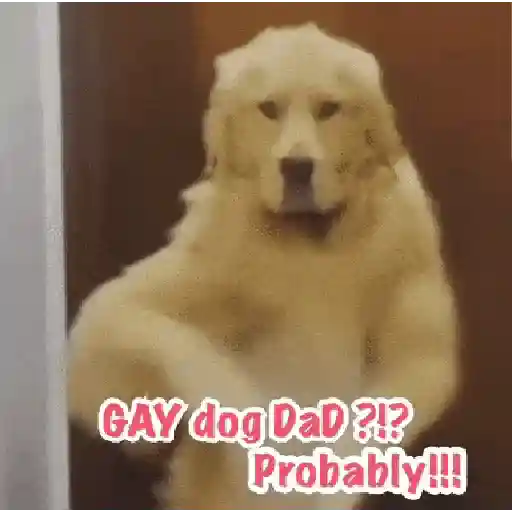 GAY dog DaD ?!? Probably!!! (sfc62pqv4m)